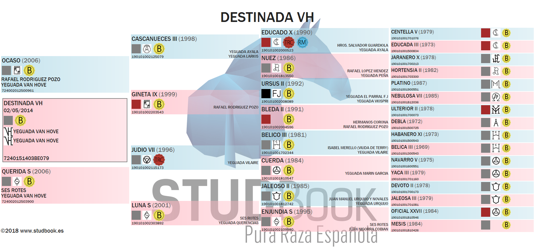 destinada vh