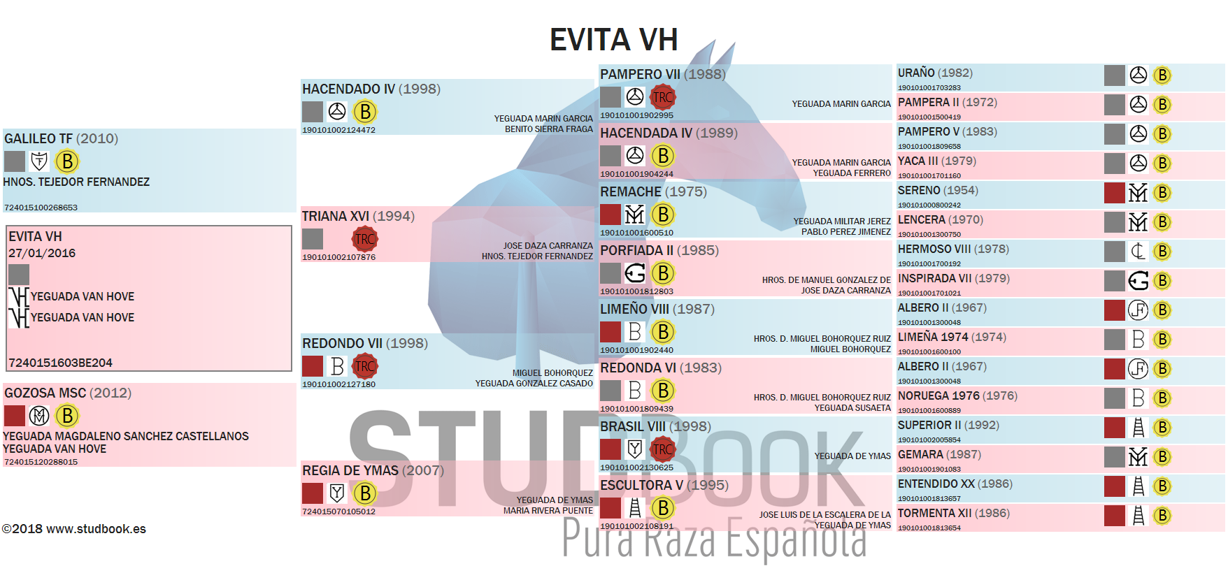 evita vh