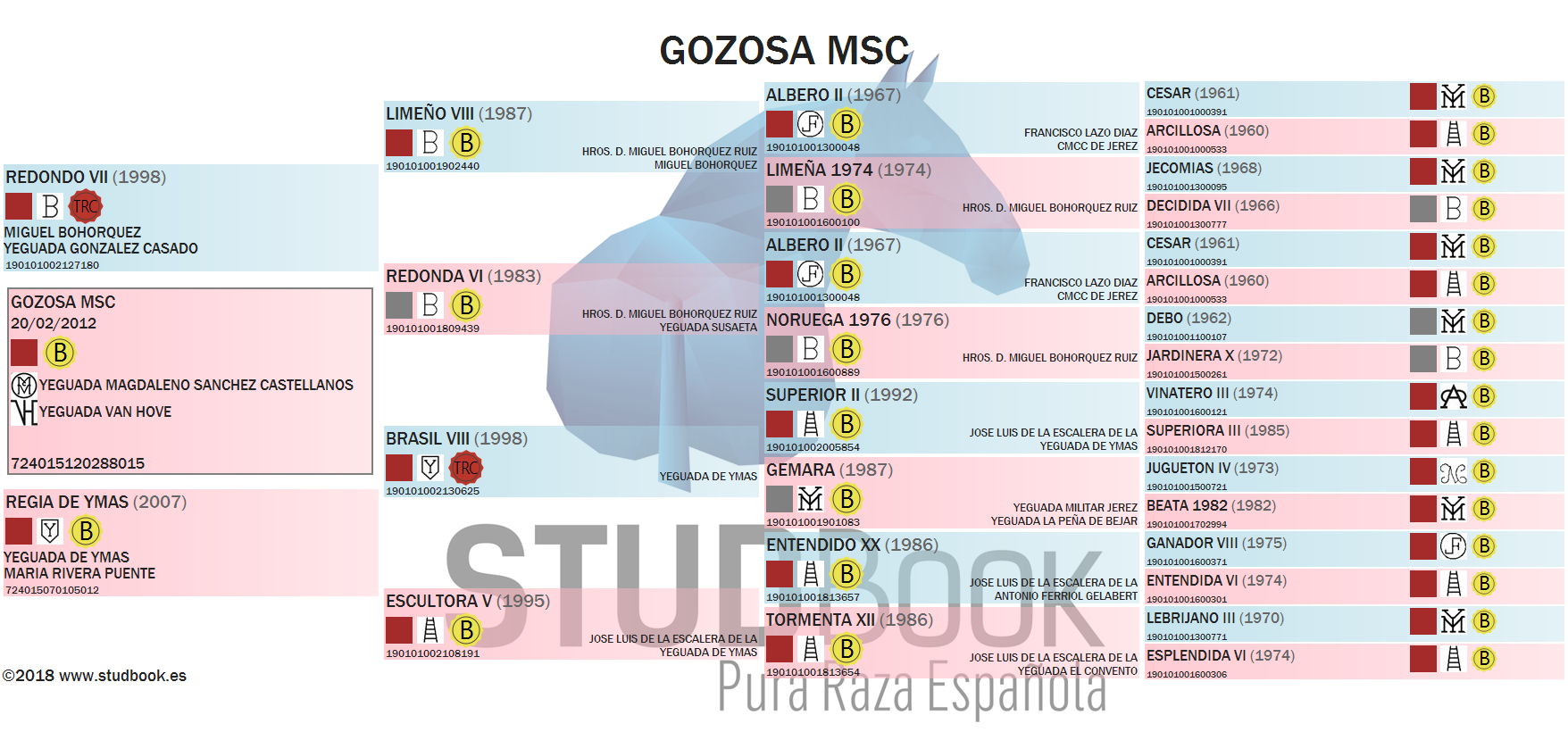 gozosa msc